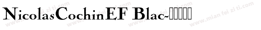 NicolasCochinEF Blac字体转换